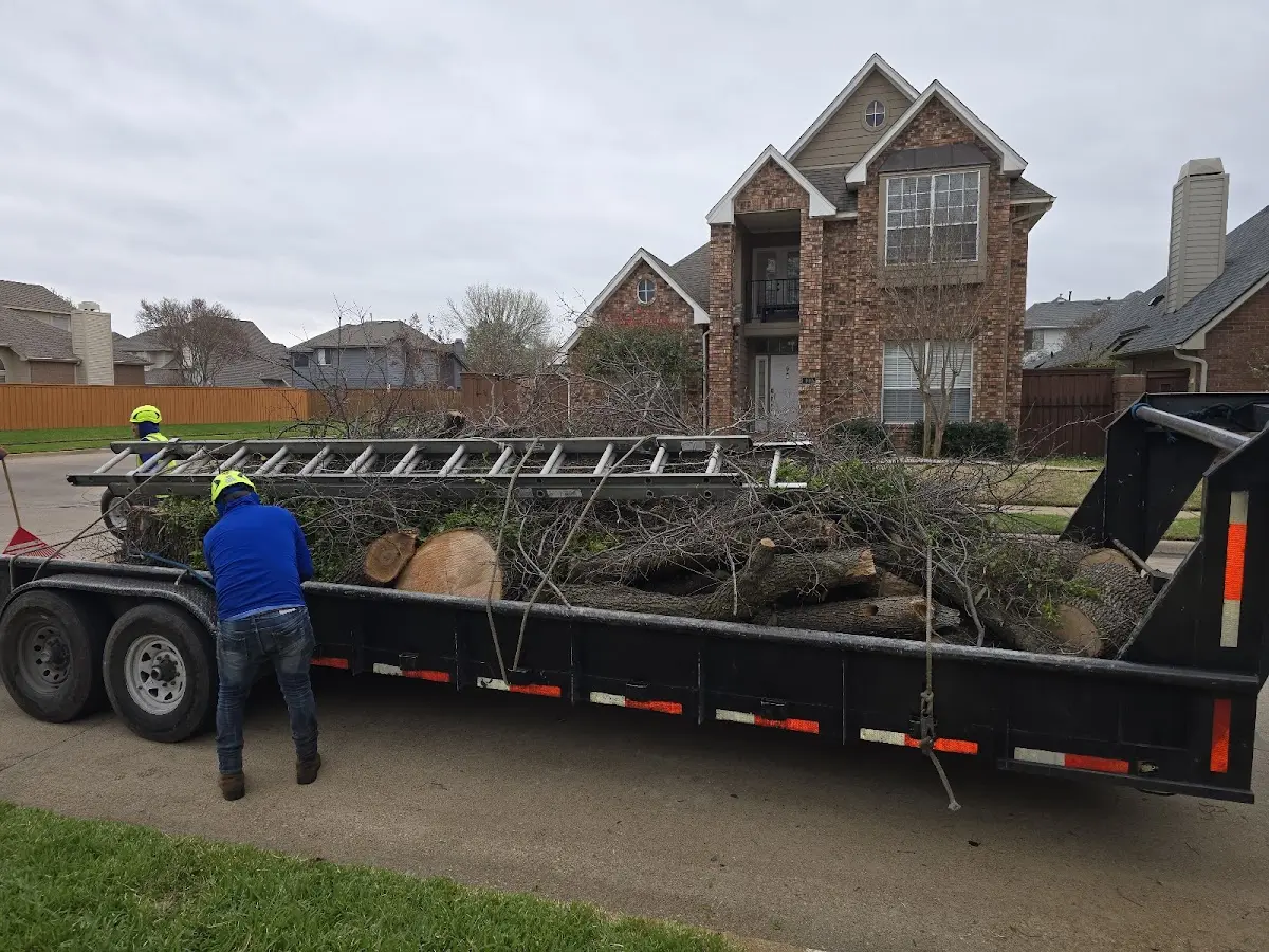 Expert Tree Fertilization with proper safety equipment in Springville